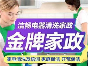 興國(guó)縣金牌家政 專業(yè)服務(wù)，品質(zhì)生活的可靠之選